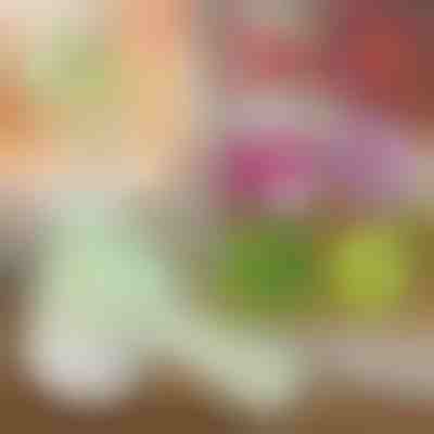 4-in-1 manueller elektrischer Zerkleinerer | ROTOCHOP