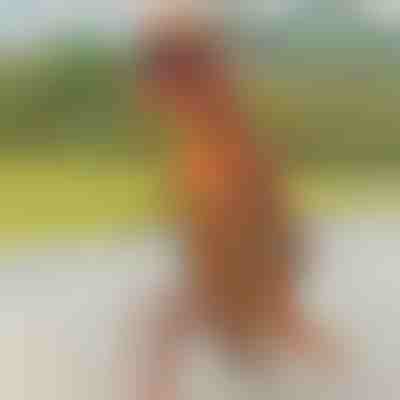 Aufblasbares Dinosaurierkostüm | TREXCOS