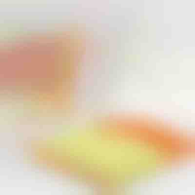 Jalousienreiniger, der die Reinigungszeit halbiert | BLINDY