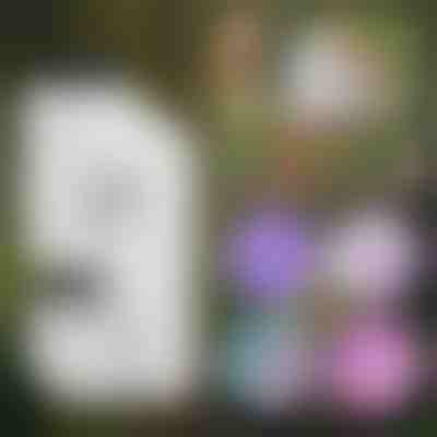 Tragbares kindermikroskop | MINISCOPE