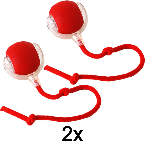 2x Haustierspielzeug, das sich bei Berührung bewegt | GATOPLAY